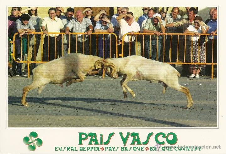 Postales: POSTAL LUCHA CARNEROS, EUSKAL HERRIA,  SIN CIRCULAR - Foto 1
