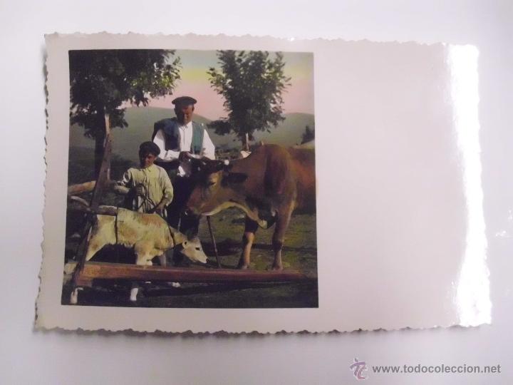 Cartoline: CAMPESINO VASCO EN EL MERCADO. FOTO GALARZA. SAN SEBASTIAN