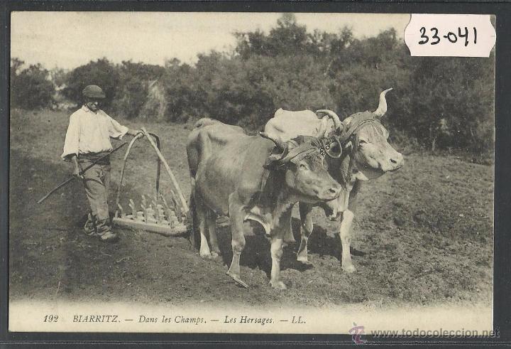 Postales: BIARRITZ - 192 LL - EN LOS CAMPOS - (33041) - Foto 1