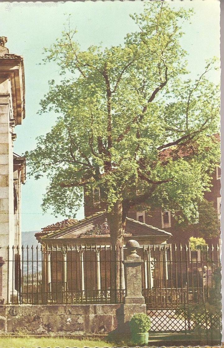 Postcards: POSTAL, ARBOL DE GUERNICA, VISTAS DE LA CORNISA CANT&Aacute;BRICA, SIN CIRCULAR