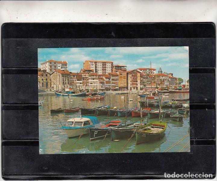 Postales: 16. LEQUEITIO. PUERTO - Foto 1