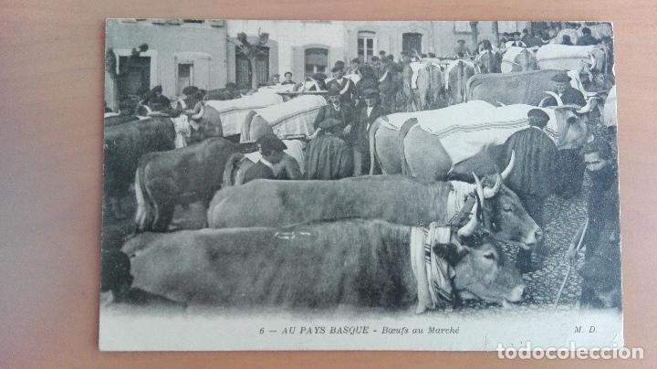 Postkarten: COSTUMBRES ESCENAS VASCAS,TIPOS VASCOS. PAIS VASCO FRANCES. FERIA DE GANADO. 6-AU PAYS BASQUE ED. MD