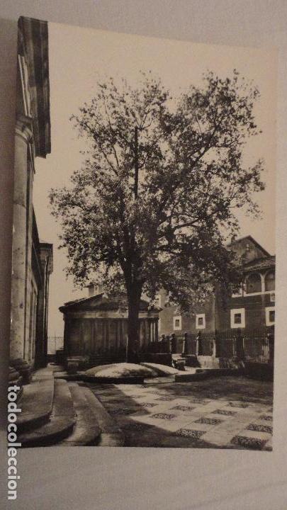 Postales: ANTIGUA POSTAL.ARBOL DE GUERNICA.VIZCAYA FISA N&ordm; 22 FOTO ABADAL