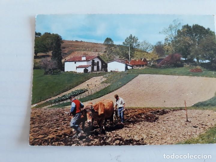 Postales: Bueyes arando pa&iacute;s vasco