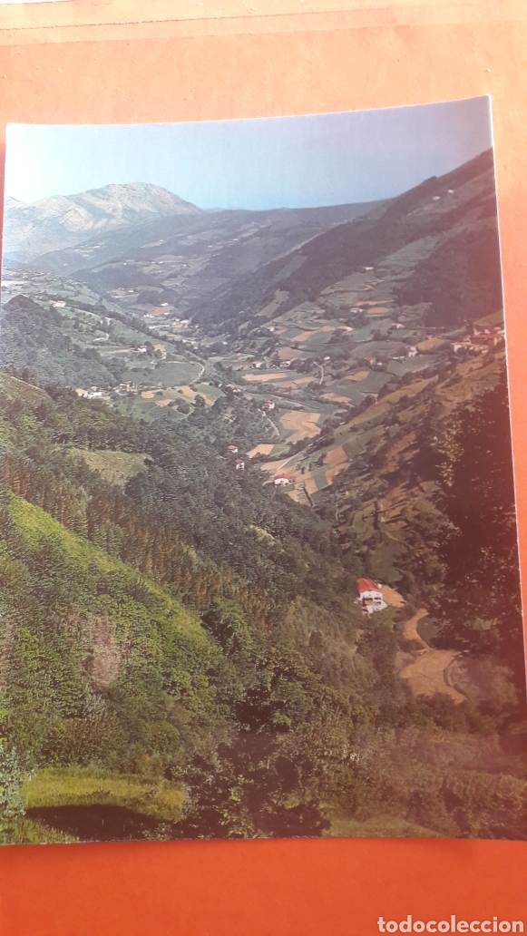Postales: 1985 Programa Zoo Cluz Balc&oacute;n de Guipuzcua - Foto 1