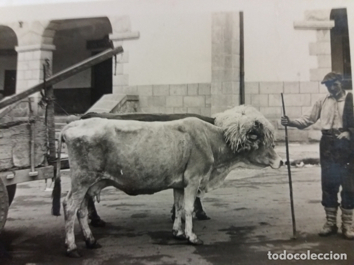 Postais: BILBAO-TIPO VASCO-CARRETA VASCA-22-FOTOGRAFICA ROISIN-VER FOTOS-(61.000)