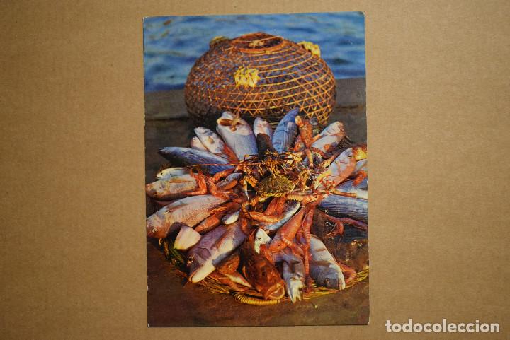 Postcards: Panera t&iacute;pica de pescado. Ed. CYP Circulada 1970