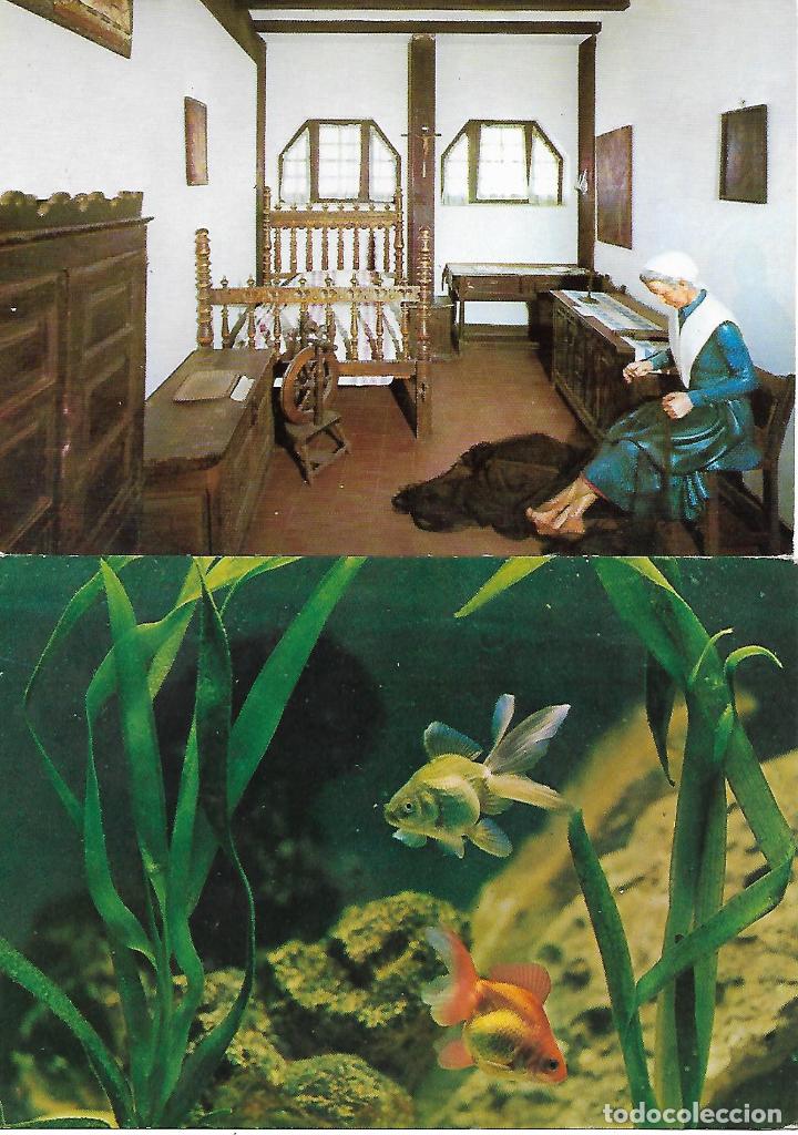 Cartes Postales: AQUARIUM DE SAN SEBASTIAN - DOS POSTALES