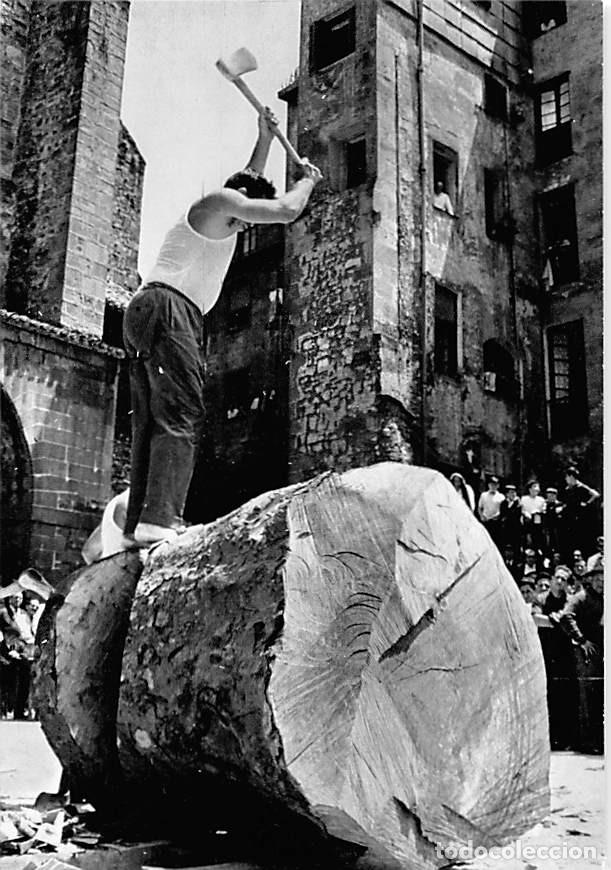 Postais: CORTADOR DE TRONCOS