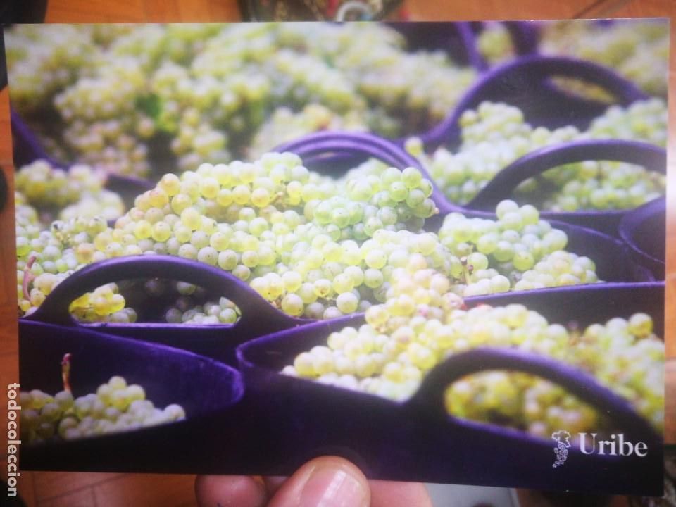 Postales: Postal Uribe Txakoli and Culture