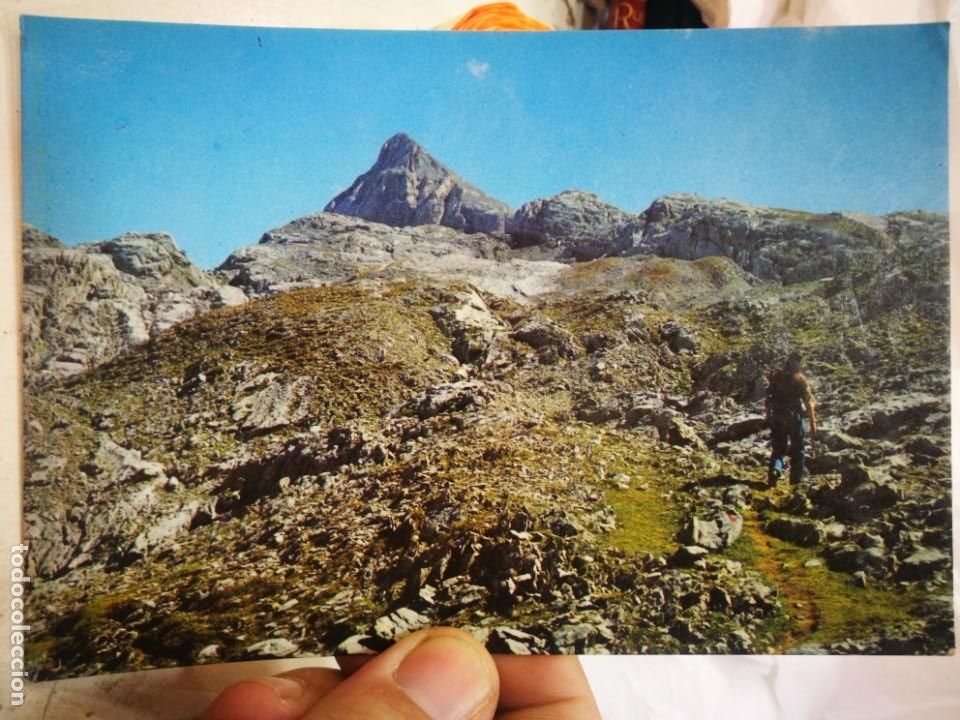 Postales: Postal Pa&iacute;s Vasco en Im&aacute;genes Zona de Usaba Atenta N 98 AU&Ntilde;AMENDI estado regular