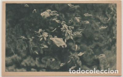 Postais: POSTAL DE SAN SEBASTIAN. PALACIO DEL MAR. AQUARIUM P-PV-1749