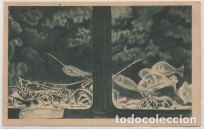 Postais: POSTAL DE SAN SEBASTIAN. PALACIO DEL MAR. AQUARIUM. LANGOSTAS DORADAS P-PV-1750