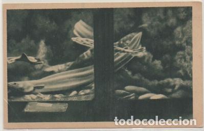 Postais: POSTAL DE SAN SEBASTIAN. PALACIO DEL MAR. AQUARIUM. CONGRIOS. ANGUILA DE MAR P-PV-1752