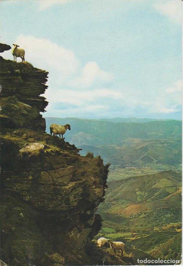 Cartes Postales: (13) LARUN-GAIN . VISTAS SOBRE LOS MONTES DE NAVARRA ... LATERALES ROZADOS