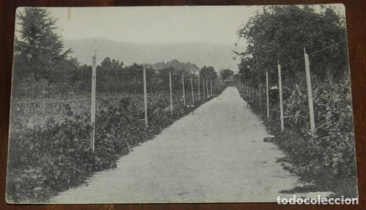 Cartoline: ORDU&Ntilde;A (GUIPUZCOA) COLEGIO DE LA COMPA&Ntilde;IA DE MARIA, ENSE&Ntilde;ANZA, 20. PASEO ASFALTADO, SIN CIRCULAR