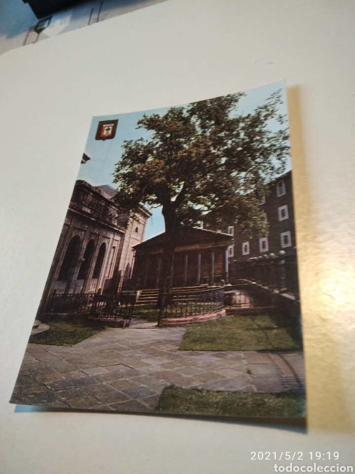 Postales: Guernica arbol - Foto 1