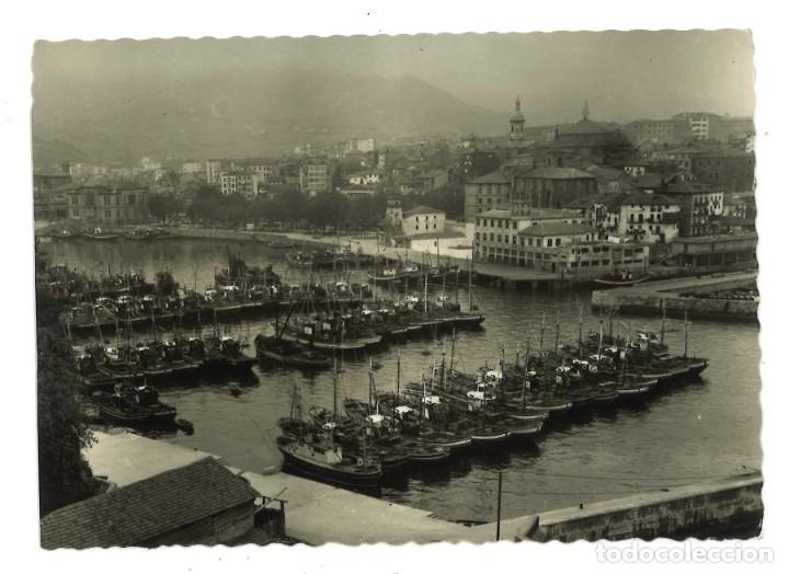 Postales: Bermeo. Puerto. Sin circular - Foto 1