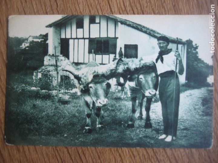 Postkarten: Pais Vasco. Bueyes. Boeufs coiffes. N&ordm; 226. Ed. M.D. Bordeaux. Sin circular