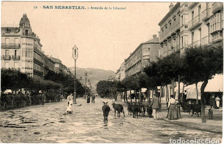 Cartoline: PRECIOSA POSTAL - SAN SEBASTIAN - AVENIDA DE LA LIBERTAD - EDICION G.G.GALARZA