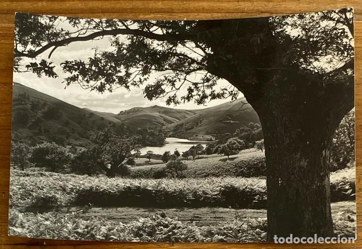 Cartoline: FOTO POSTAL DE IBARDIN, GUIPUZCA, LAGO ARROLA, N.5, NO CIRCULADA.