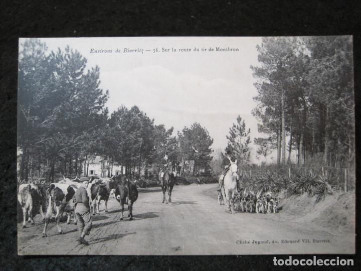 Cartoline: BIARRITZ-SUR LA ROUTE DU TIR DE MONTBRUN-POSTAL ANTIGUA-(93.991)
