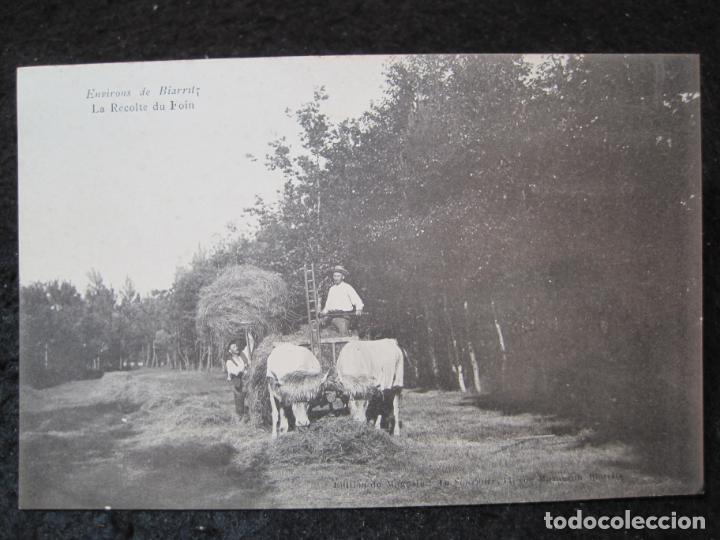 Postcards: BIARRITZ-LA RECOLTE DU FOIN-POSTAL ANTIGUA-(93.993)