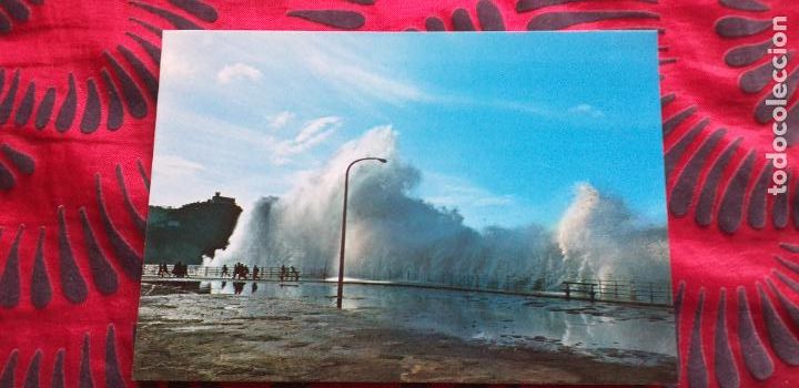 Cartoline: GUIPUZCOA-RV1-150X105MM-SAN SEBASTIAN-TEMPORAL EN EL PASEO NUEVO