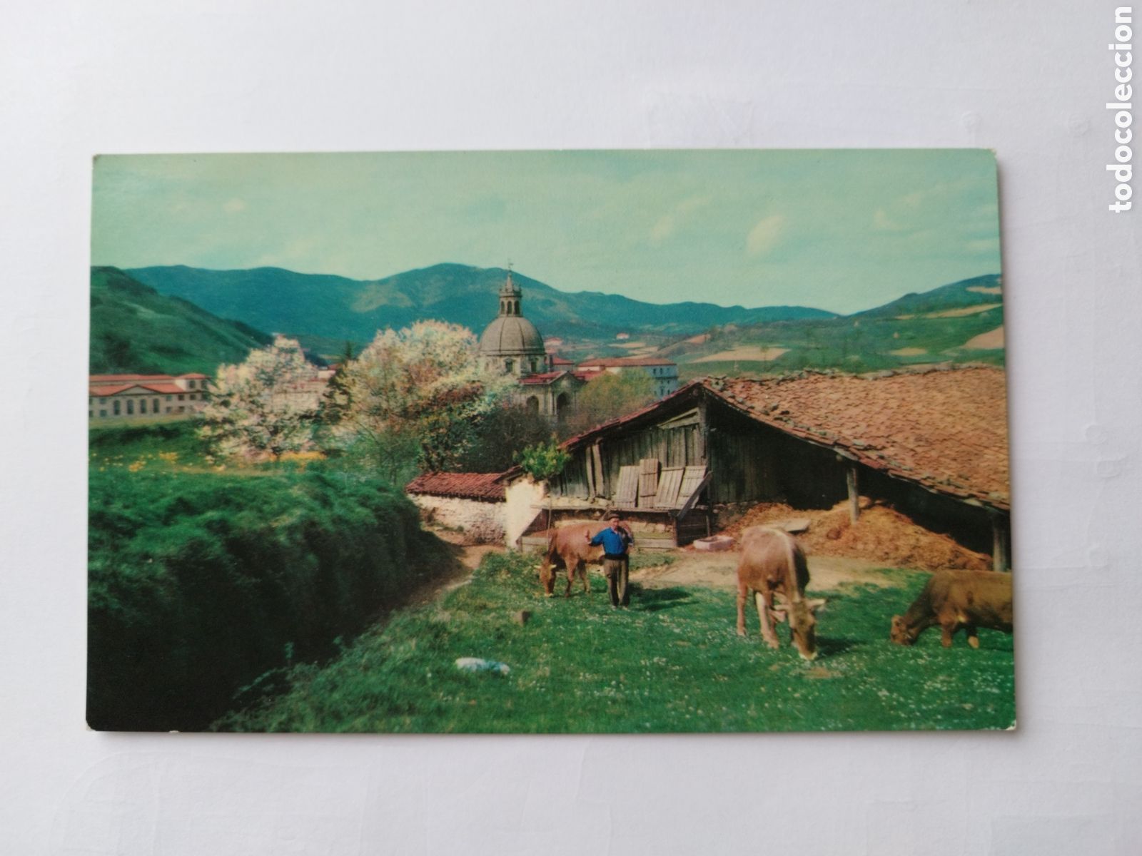 Postkarten: Tarjeta Postal Caserio Azkoitia Santuario Loyola Vista parcial edita J Echezarreta Manipel a&ntilde;o 1960