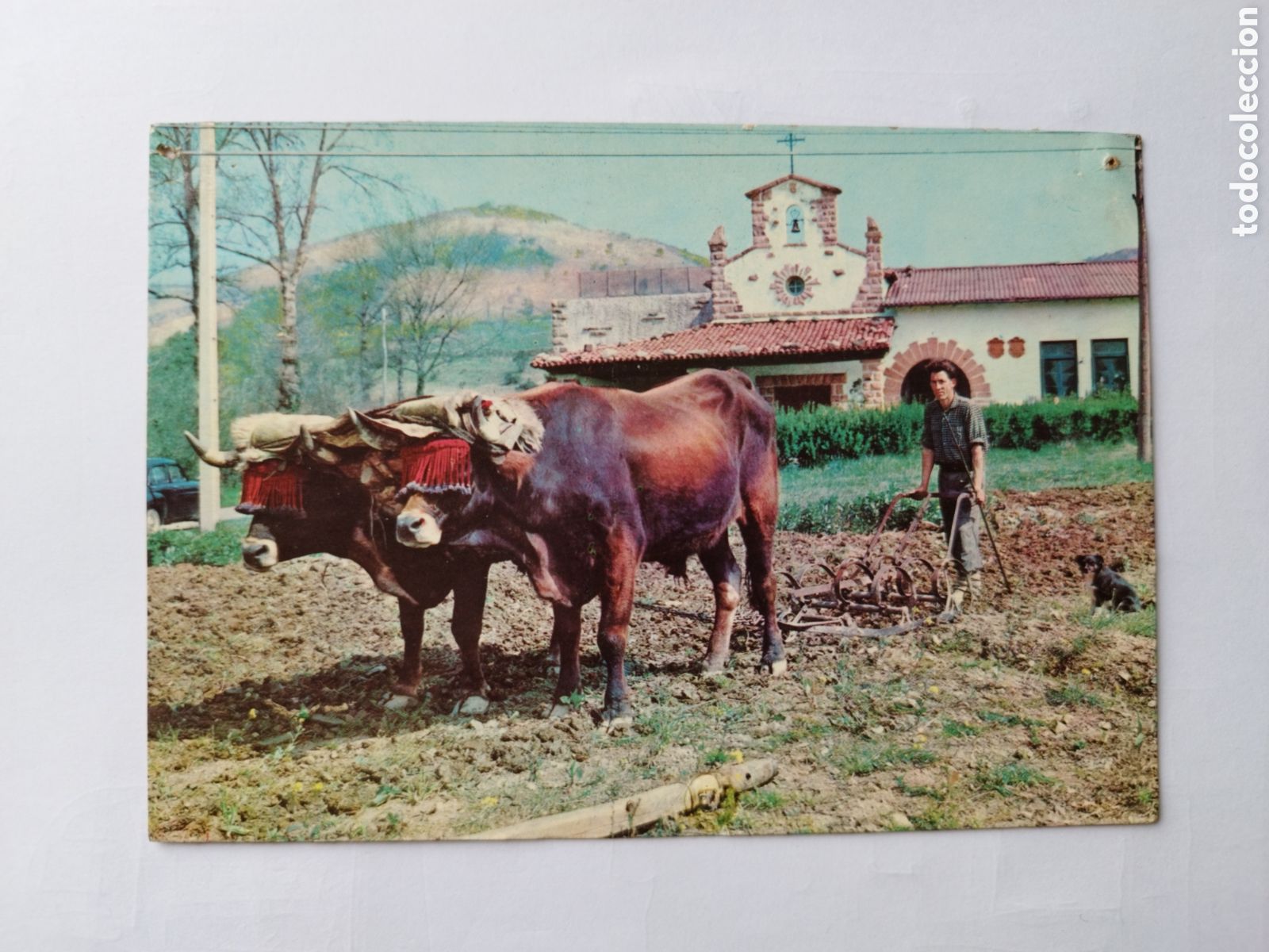 Postkarten: Tarjeta Postal Guetaria Labrador vasco Foto Gar Zarauz Fotocolor Valman a&ntilde;o 1964 sellada 1966