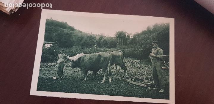 Postcards: SAN SEBASTIAN,ESCENA VASCA