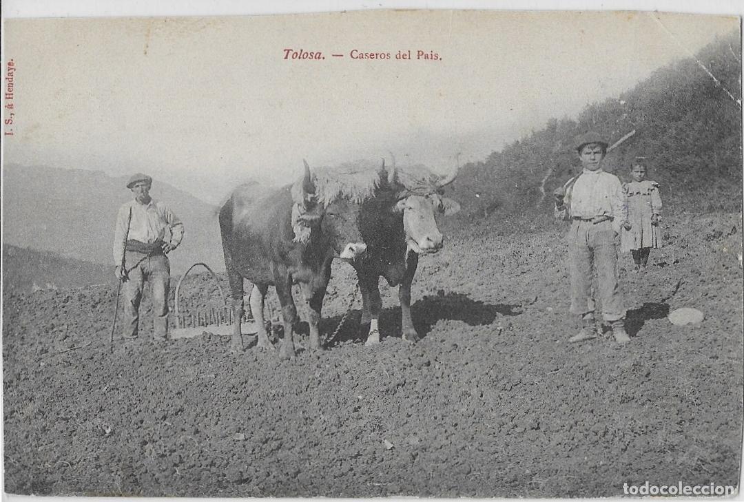 Postales: TOLOSA - Foto 1