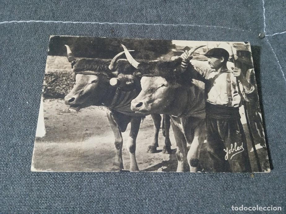 Postales: POSTAL BUEYES VASCO BASQUE / YOBLED - Foto 1