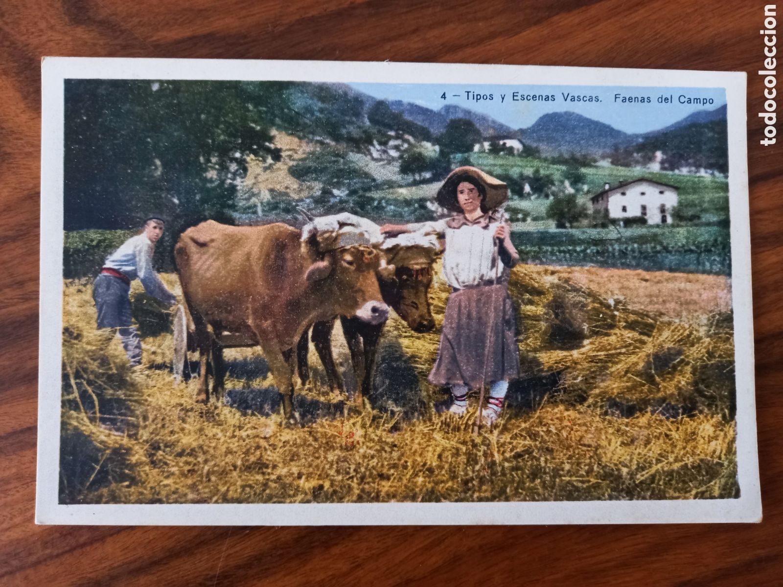 Postais: Postal Tipos y Escenas Vascas. Faenas del Campo