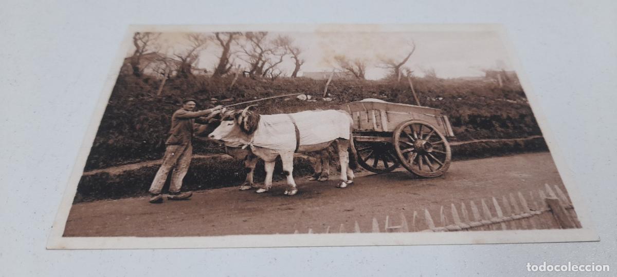 Postales: ANTIGUA POSTAL TYPES BASQUES - ATTELAGE BASQUE . SIN CIRCULAR - Foto 3