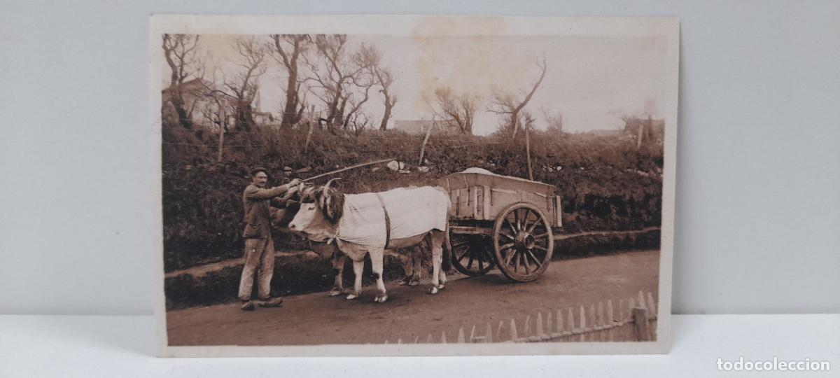 Postales: ANTIGUA POSTAL TYPES BASQUES - ATTELAGE BASQUE . SIN CIRCULAR - Foto 1