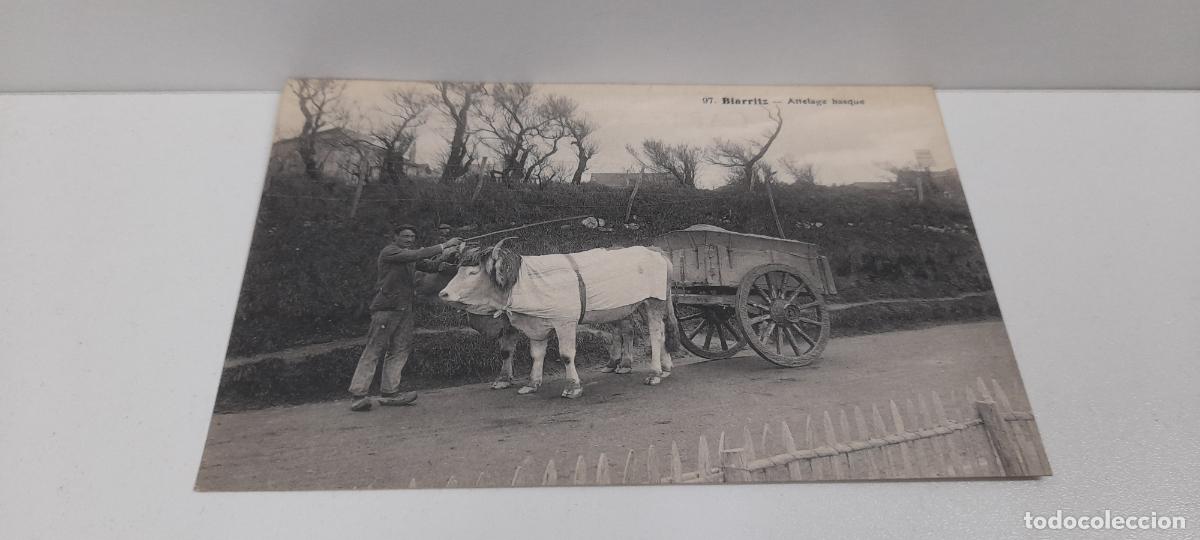 Postales: ANTIGUA POSTAL DE BIARRITZ . ATTELAGE BASQUE . SIN CIRCULAR - Foto 3