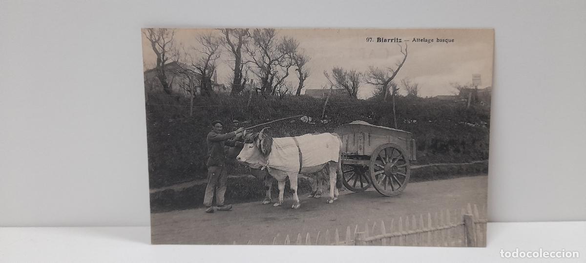 Postales: ANTIGUA POSTAL DE BIARRITZ . ATTELAGE BASQUE . SIN CIRCULAR - Foto 1