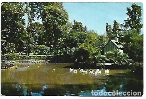 Postales: PARQUE. ESTANQUE / PARK. TEICH.- BILBAO - Foto 1