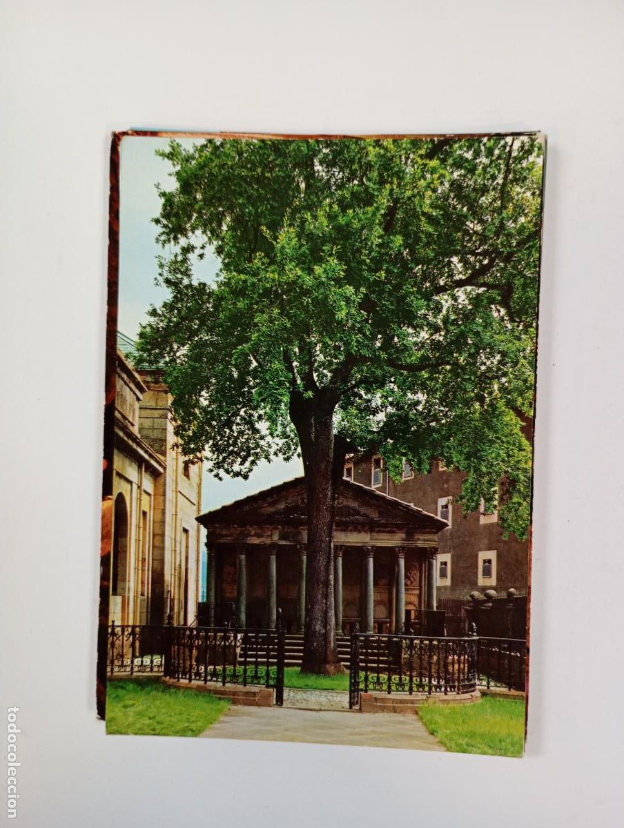 Postales: POSTAL DE GUERNICA. &Aacute;RBOL. TDKP28Z2