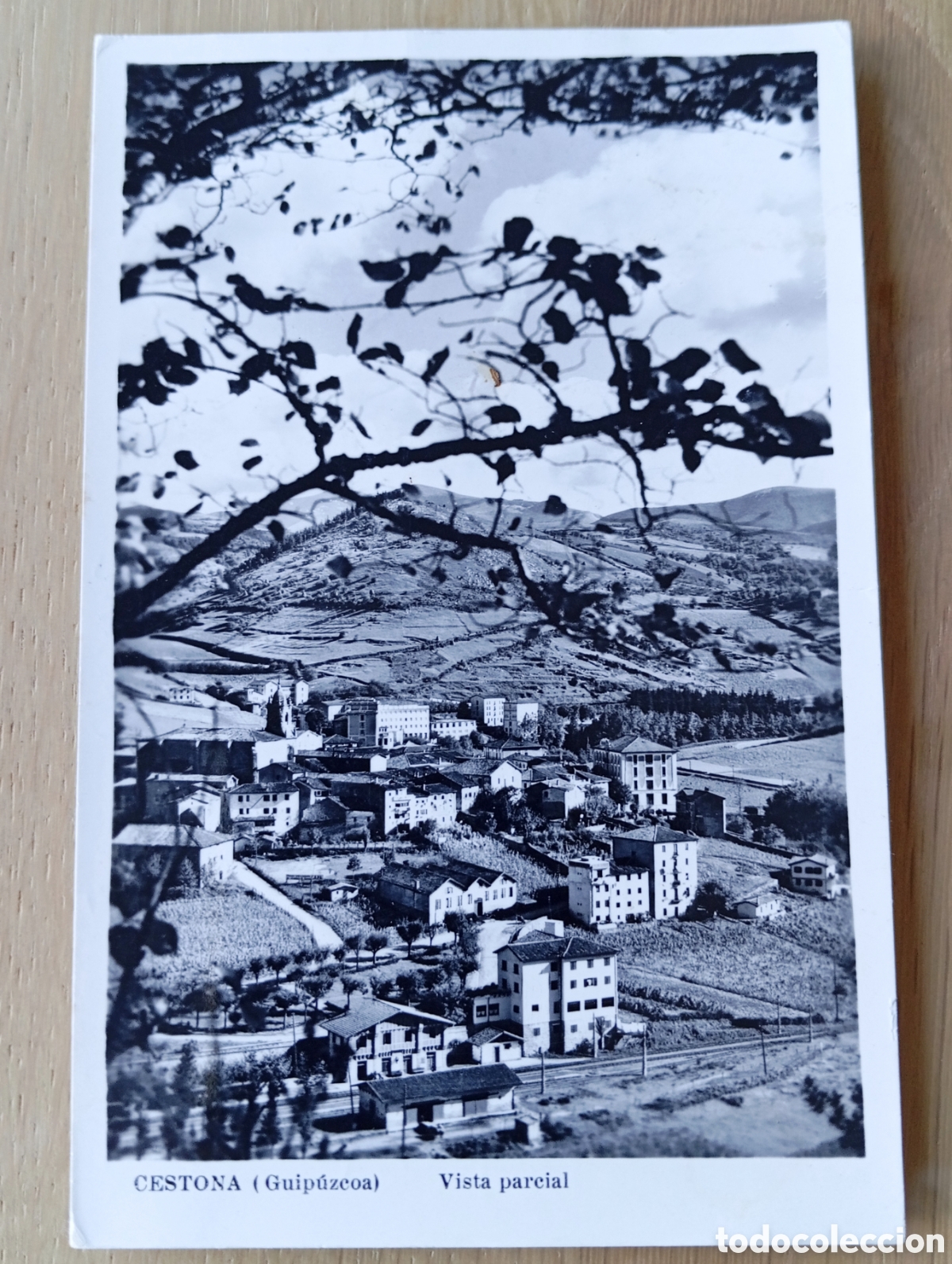 Postales: POSTAL CESTONA GUIP&Uacute;ZCOA VISTA PARCIAL FOTO KAITO AZPEITIA CIRCULADA 1962