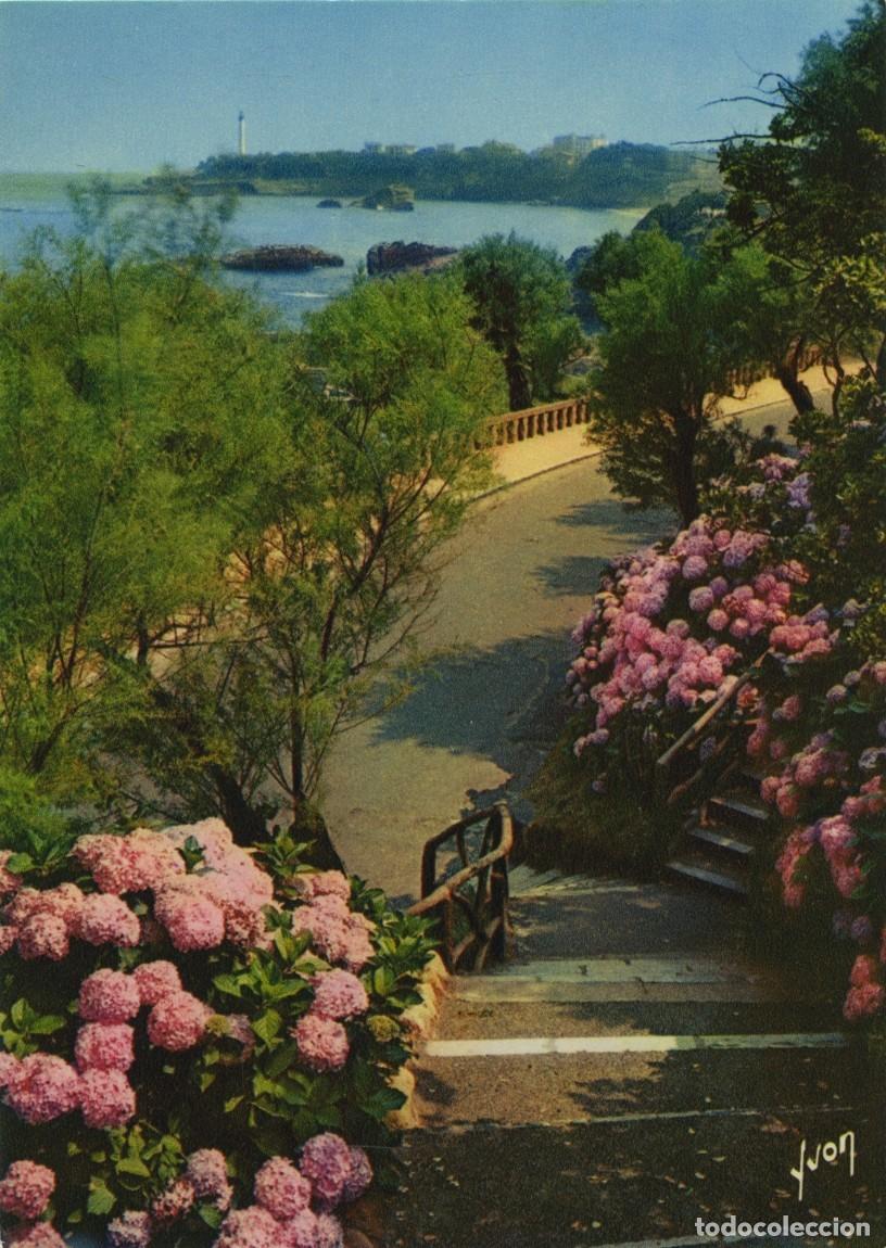 Postales: N&ordm; 64200-BIARRITZ. Pa&iacute;s Vasco. Promenade sur le promontoire de l'Atalaye &agrave; travers les hortensias. S