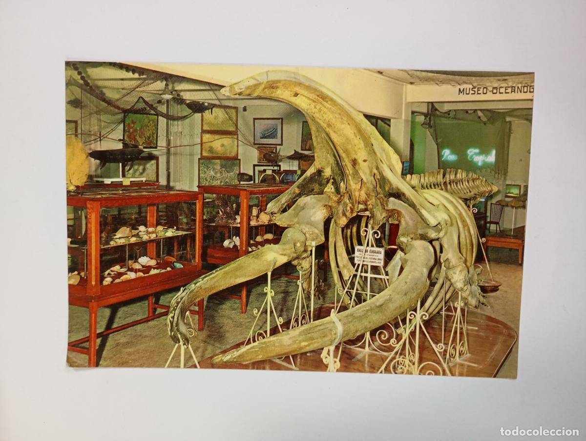 Cartoline: POSTAL AQUARIUM DE SAN SEBASTIAN. TDKP27Z3