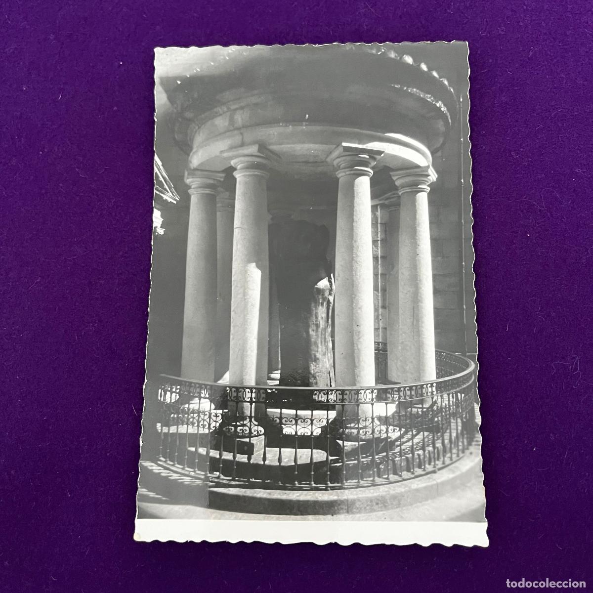 Postales: POSTAL DE GUERNICA (VIZCAYA). TRONCO DEL ARBOL HISTORICO.