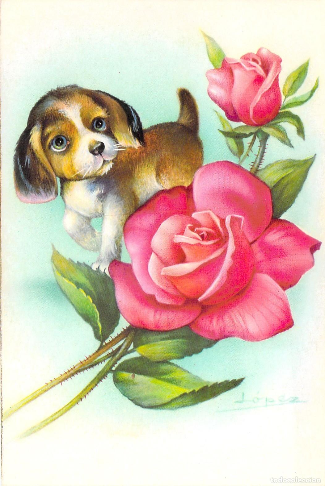 Postales: Postal Ilustrada de Cachorro con Rosas Rosas de L&oacute;pez