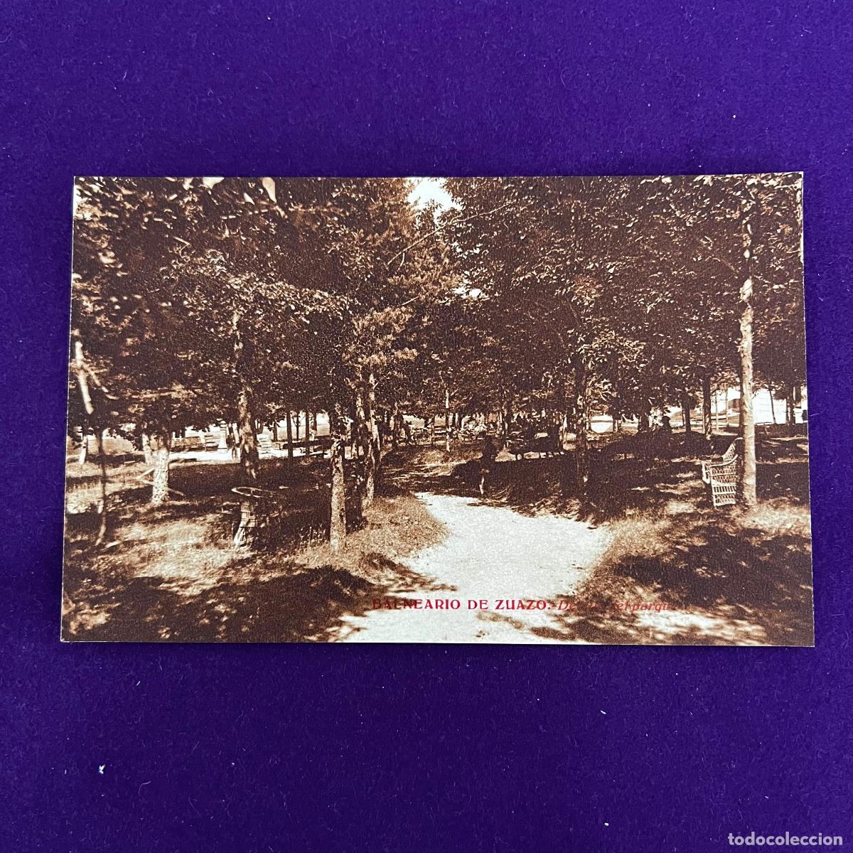 Postales: POSTAL DEL BALNEARIO DE ZUAZO (ALAVA). DENTRO DEL PARQUE. A&Ntilde;O 1932.