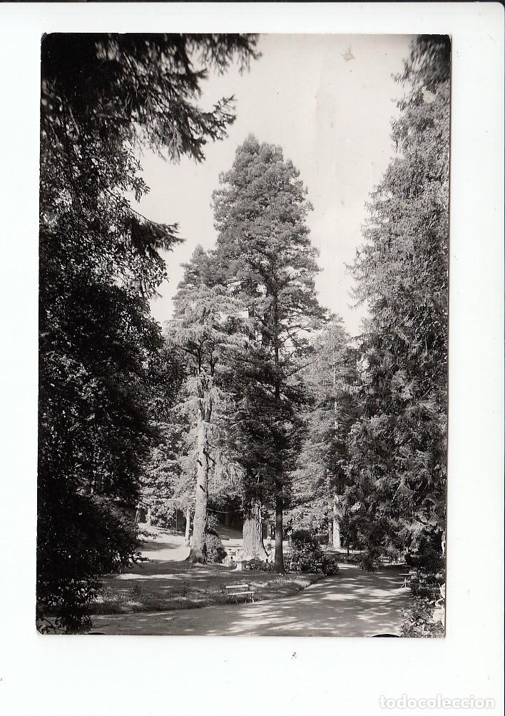 Postcards: MONDRAG&Oacute;N (GUIPUZCUA).- PALACIO DE MONTERR&Oacute;N
