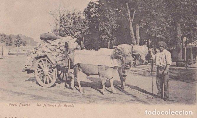 Postales: PAYS BASQUE - UN ATTELAGE DU BOEUFS. R. & J.D. 10595K, 12
