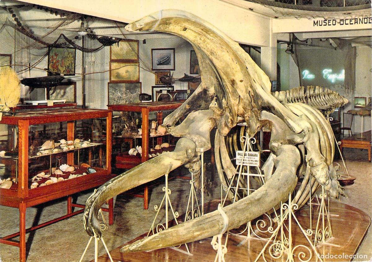 Postales: Postal del Museo Oceanogr&aacute;fico, Aquarium de San Sebasti&aacute;n