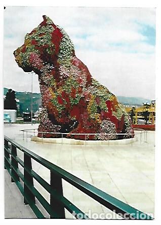 Postales: EL GATO DEL MUSEO.- BILBAO